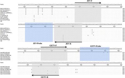 Rapid Differential Detection of Japanese Encephalitis Virus and Getah Virus in Pigs or Mosquitos by a Duplex TaqMan Real-Time RT-PCR Assay